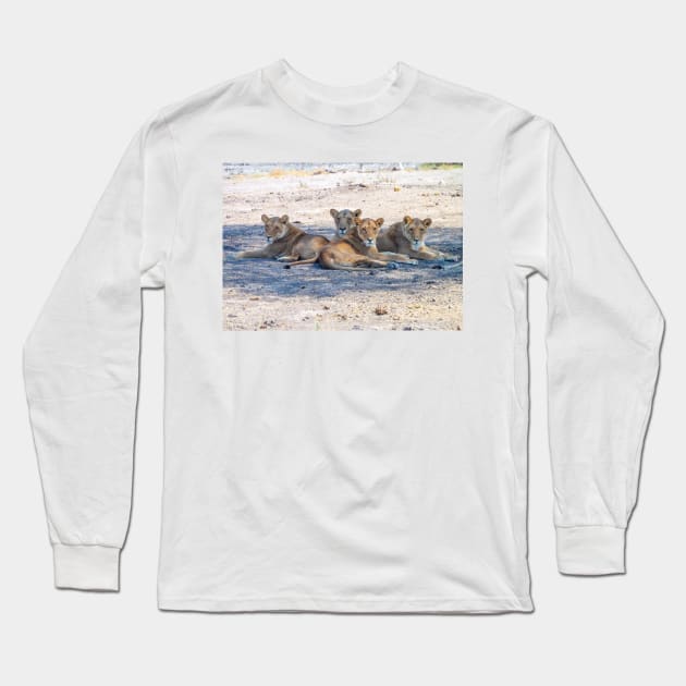 Four Lionesses Shading Themselves Long Sleeve T-Shirt by SafariByMarisa